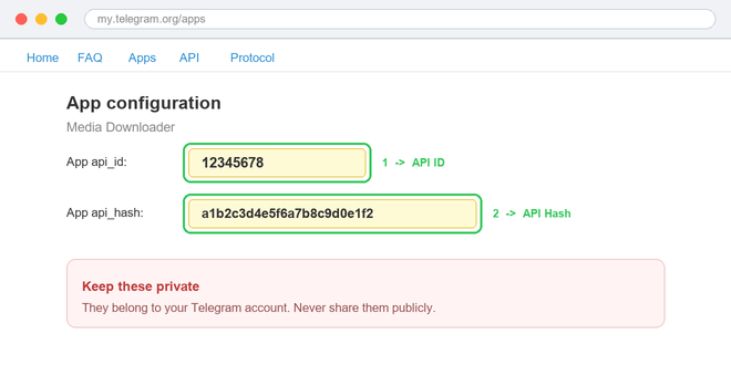 App configuration page showing api_id and api_hash values to copy — keep these private